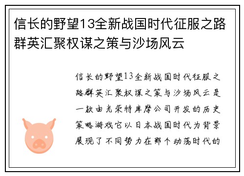 信长的野望13全新战国时代征服之路群英汇聚权谋之策与沙场风云
